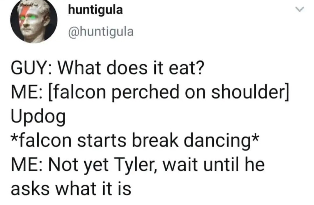 Falcon and the updog: the ultimate bait and switch - meme