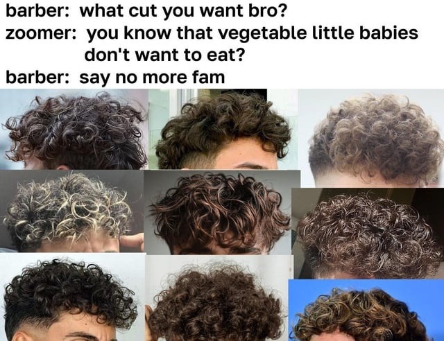 Barber gave him that steamed broccoli fade - meme