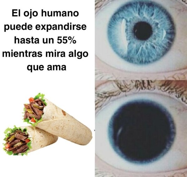 Reacción al burrito - meme