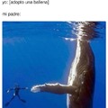 Cuando adopté una ballena