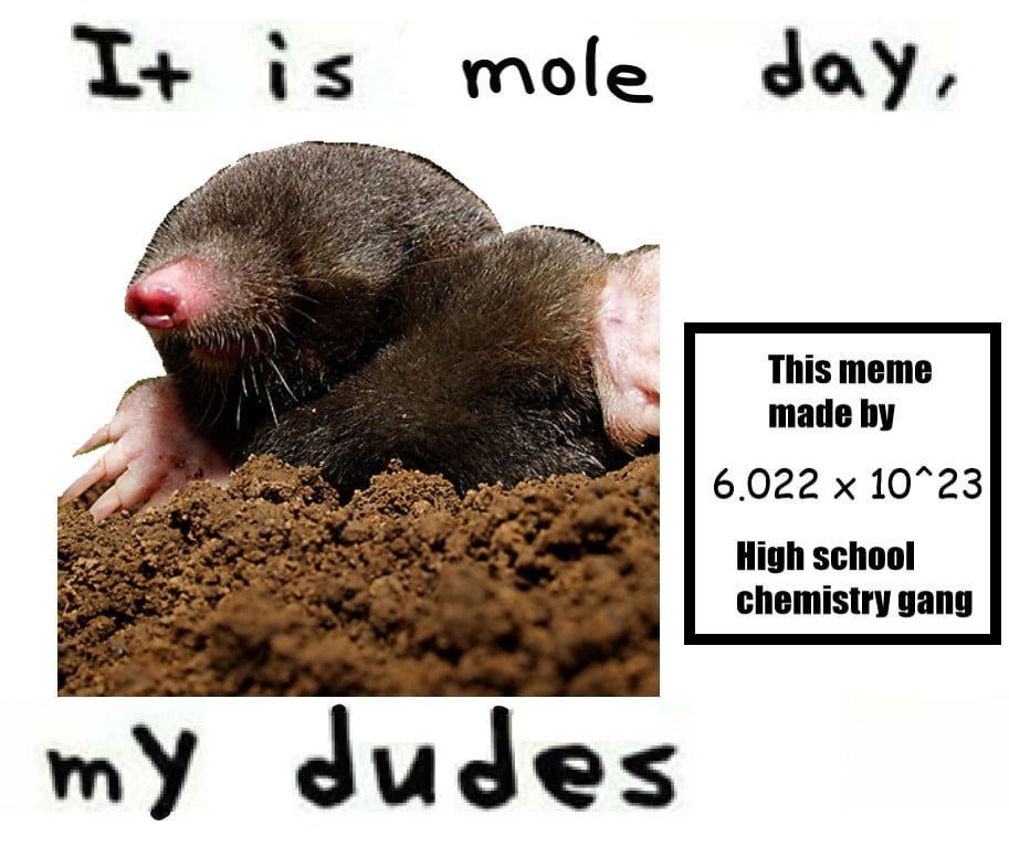 Happy Mole Day meme