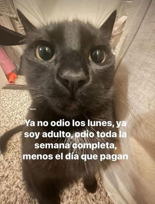 Madura como dios manda - meme