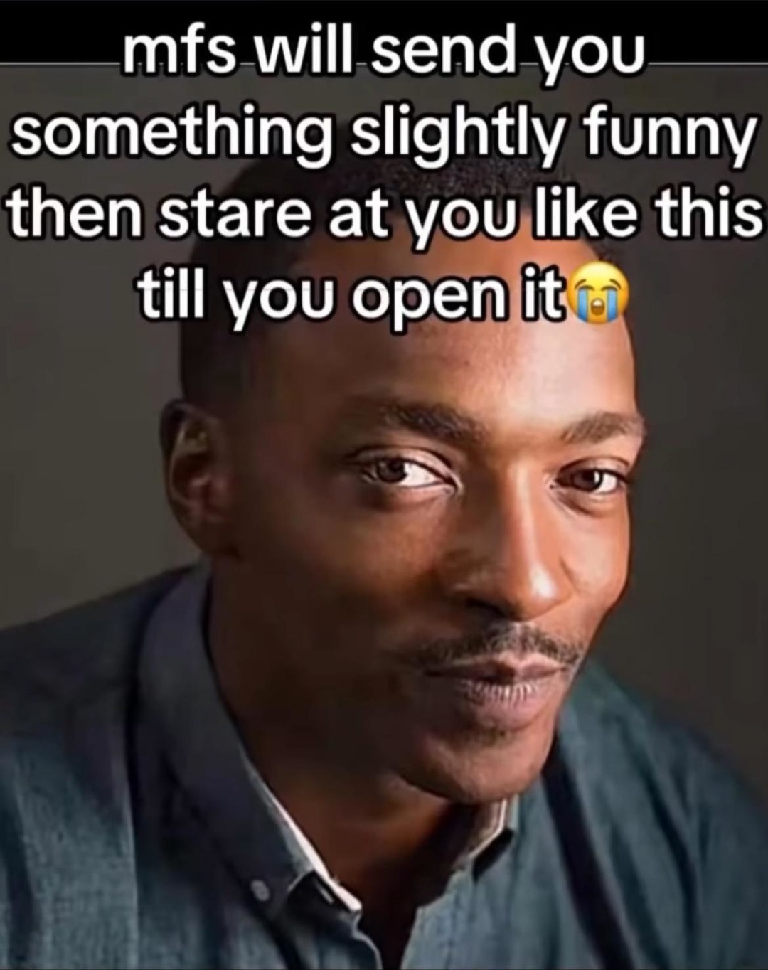 They stare like it’s a life-or-death meme