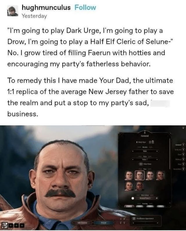 Tired of playing hot elves, so I rolled up a New Jersey dad to fix Faerûn - meme