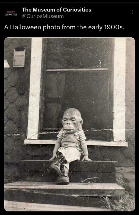 Halloween photo from 1900s - meme