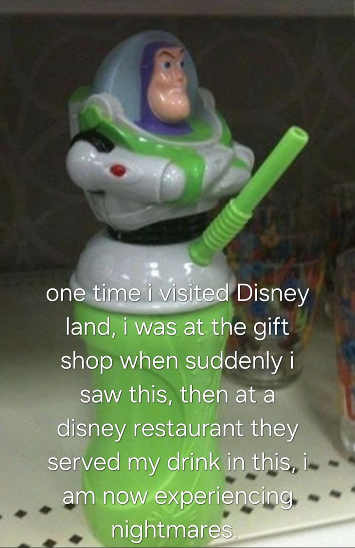 Disney land, more like dismay land! - meme