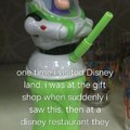 Disney land, more like dismay land!