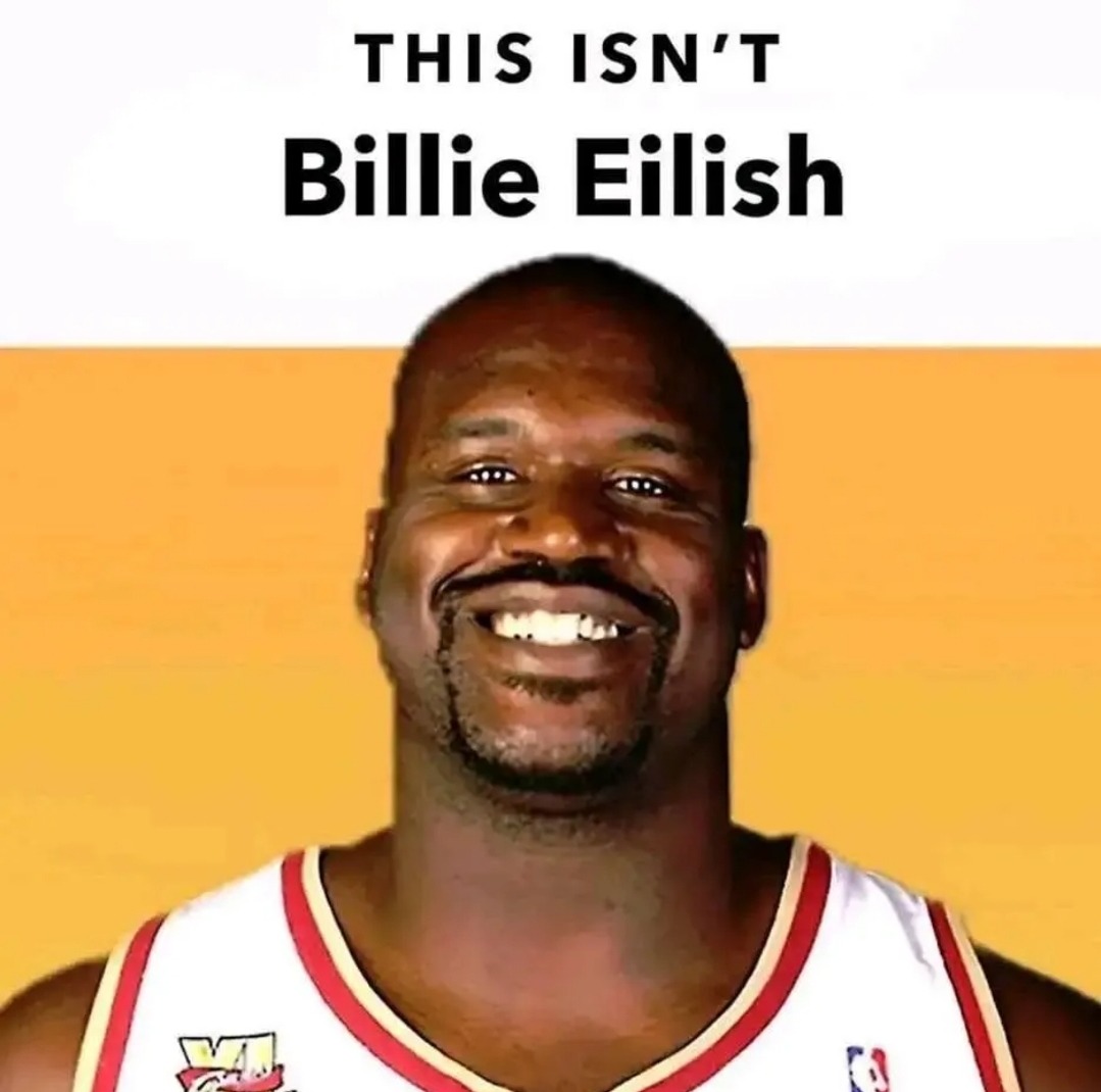 No ES Billie Eilish - meme