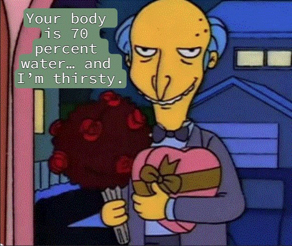Mr Burns - meme