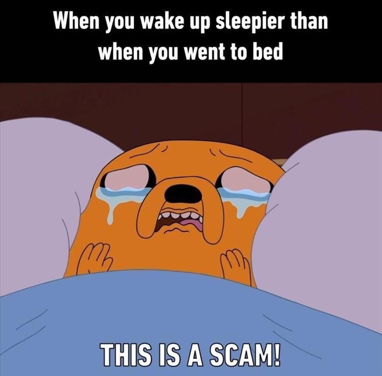 Scam - meme