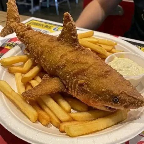 que les parece este tiburon empanado - meme