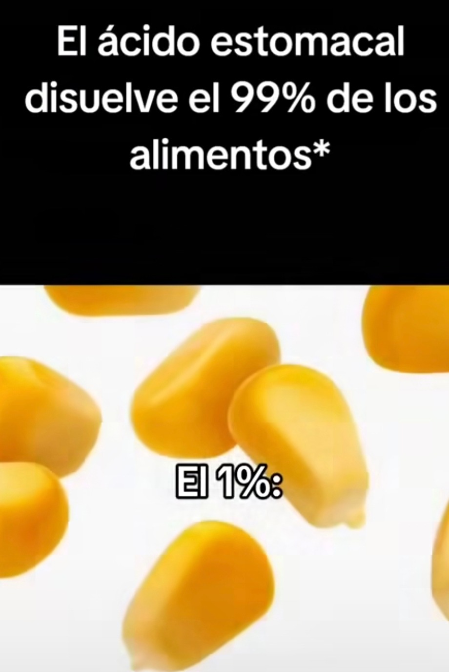 Mi estómago viendo otra pizza a las 3am: activando modo ácido nivel dios - meme