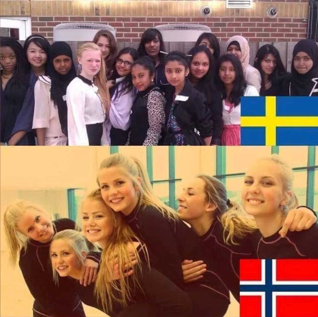 Em breve não existirá loiras "rosinhas" na Suécia - meme