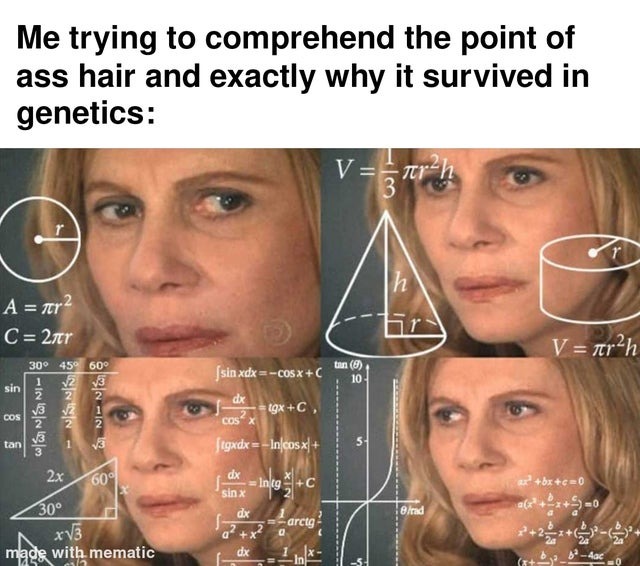 Why ass hair survived in genetics? - meme