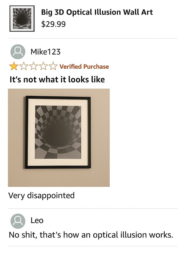 Optical illusion art: not what it looks like… duh - meme