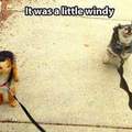 A little windy..