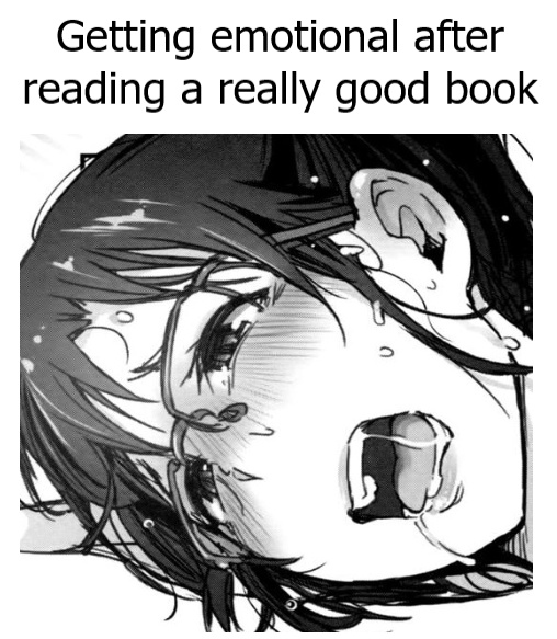 Erotic books can be good - meme