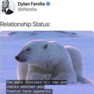 Relationship status - meme