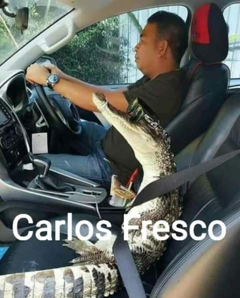 Carlos fresco - meme