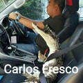Carlos fresco