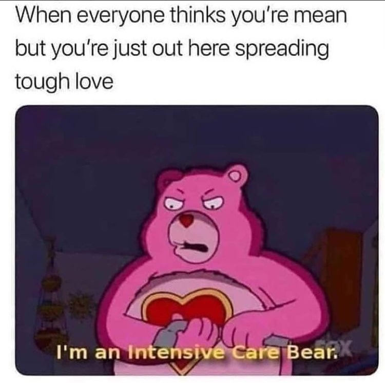 bearly legal - meme