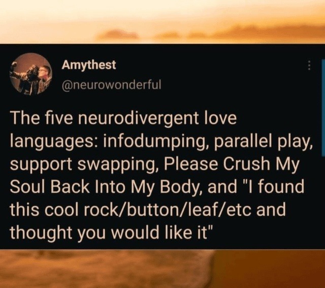 Neurodivergent love language #5: I found you this cool rock - meme