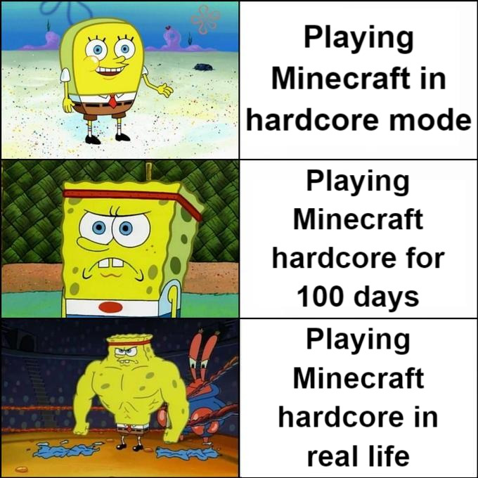 Memes %Minecraft When Minecraft is Messed Up 3 mi de visualizações - há 2  semanas 104mil