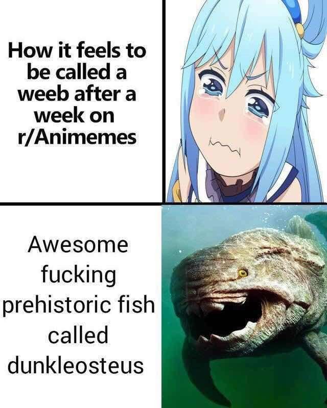 Weebs are ALL disgusting, and degenerate filth. - meme