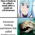 Weebs are ALL disgusting, and degenerate filth.
