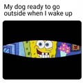 That’s my dog every day