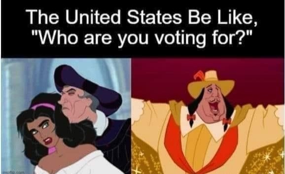 Voting - meme