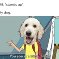 Funny dog meme 2024