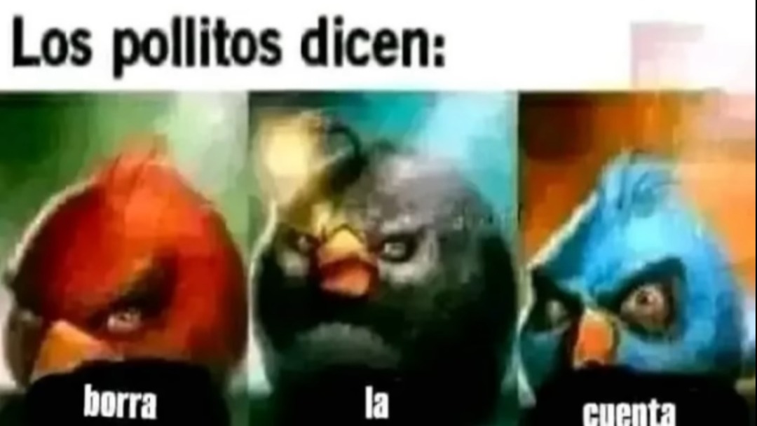 *Alguien dice una tontería cualquiera*. *la honesta reacción de los demás*: - meme