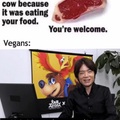 vegans in a nutshell