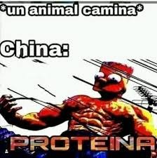 Un animal camina en china - meme