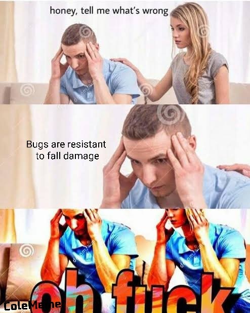 Bugs legit have feather falling - meme