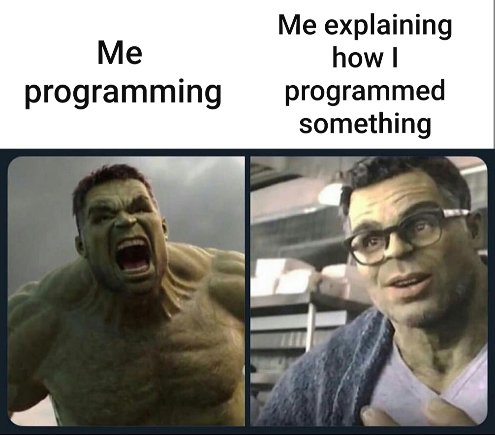 I both love and despise programming - meme