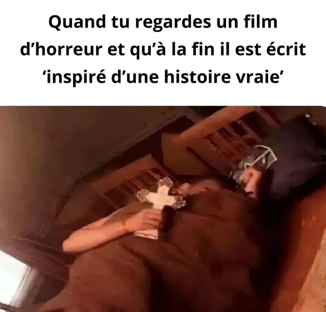 Fin de film : inspiré d’une histoire vraie. Moi : - meme