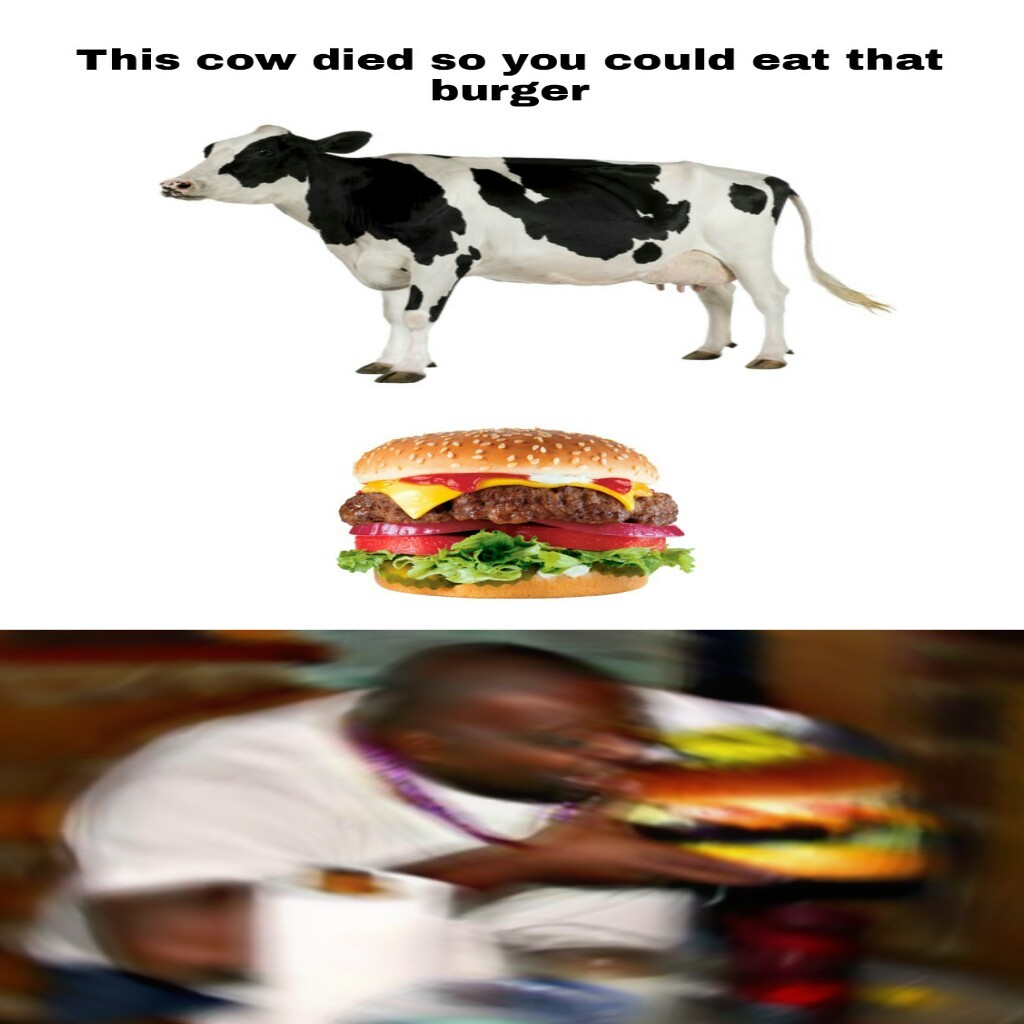 Totally - meme