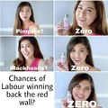 Labour Redwall