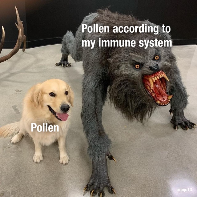 pollen be like - meme