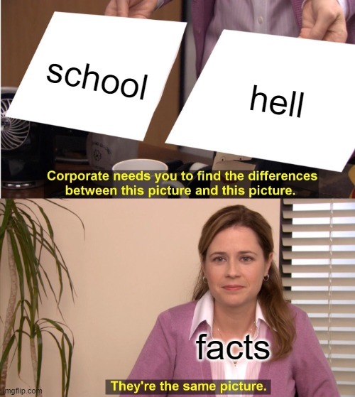 what school is - meme