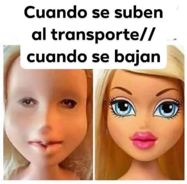 Memes de la toxica q se pinta en el transporte