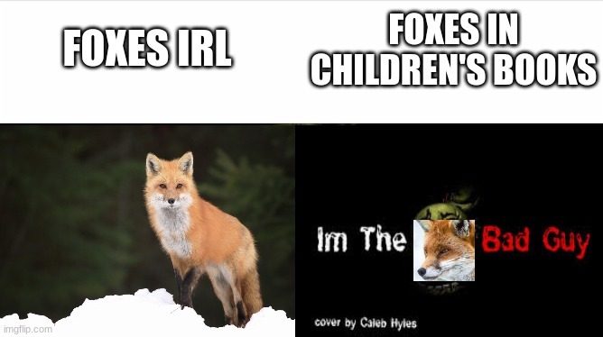 foxes - meme