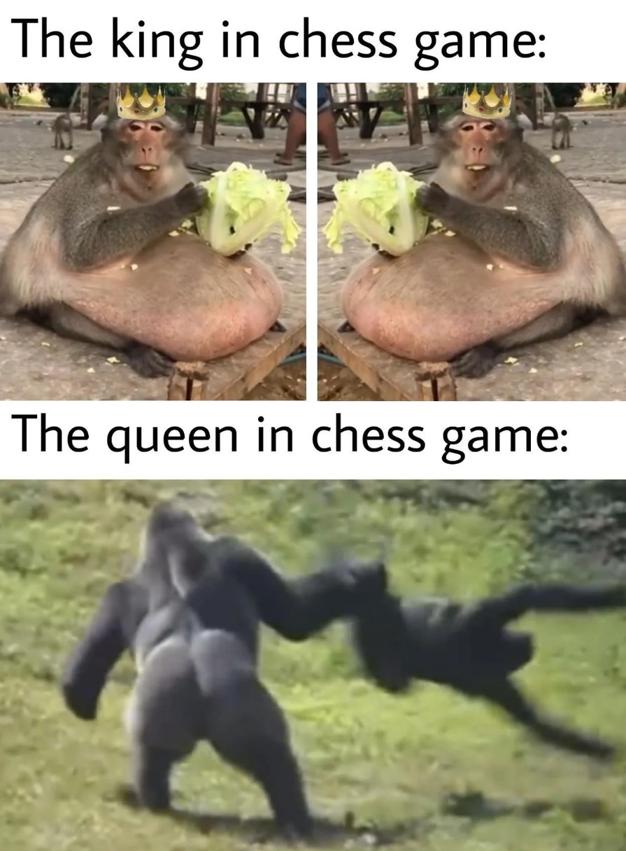 Chess be like - meme