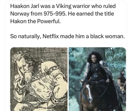 Netflix adaptation of Vikings - meme