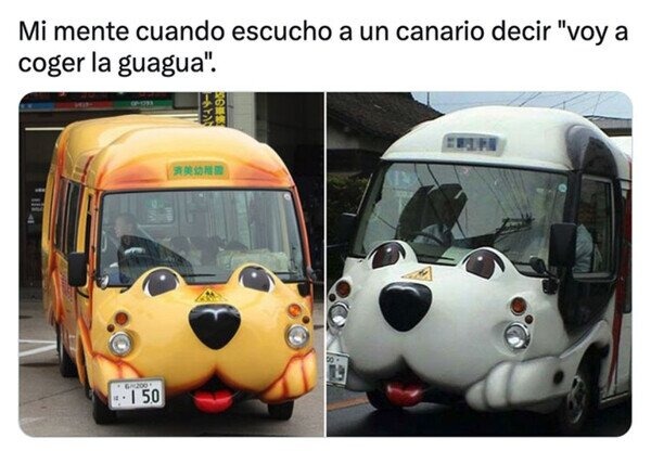Guagua es autobus en canario - meme