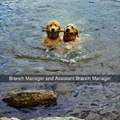 Branch Manager and Assistant Branch Manager