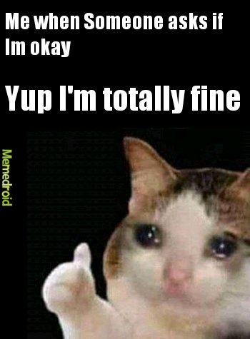 The best Sad Cat memes :) Memedroid