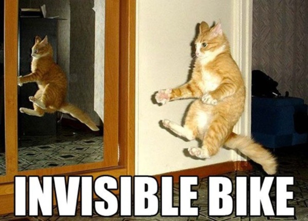 Cat Riding Bike. - meme